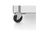 SZAFA CHŁODNICZA 2-DRZWIOWA PROFI LINE GN2/1 1300 L - HENDI 232125