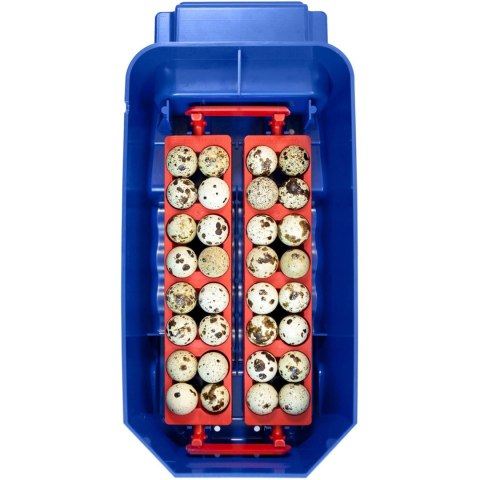 INKUBATOR KLUJNIK DO 8 JAJ AUTOMATYCZNY Z DYSTRYBUTOREM WODY PROFESJONALNY 50 W INKUBATOR KLUJNIK DO 8 JAJ AUTOMATYCZNY Z DYSTRYBUTOREM WODY PROFESJONALNY 50 W