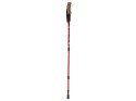 Kijek nordic walking trekingowe kij kije korkowa