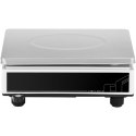 WAGA POCZTOWA PLATFORMA 21 X 27CM AKUMULATOR + ZASILACZ 15KG / 0.5G