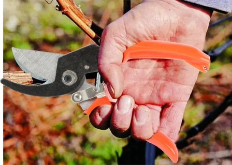 Sekator ogrodowy ręczny do gałęzi krzewów nożyce Sekator ogrodowy ręczny do gałęzi krzewów nożyce