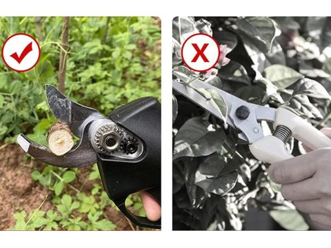 Sekator elektryczny akumulatorowy mocne nożyce 48v Sekator elektryczny akumulatorowy mocne nożyce 48v