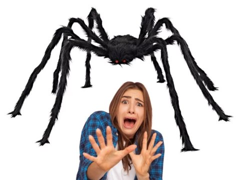 Pająk halloween olbrzym gigant tarantula dekoracja Pająk halloween olbrzym gigant tarantula dekoracja