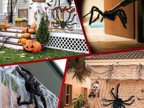 Pająk halloween olbrzym gigant tarantula dekoracja Pająk halloween olbrzym gigant tarantula dekoracja