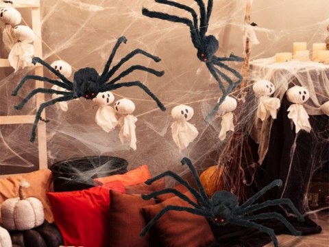 Pająk halloween olbrzym gigant tarantula dekoracja Pająk halloween olbrzym gigant tarantula dekoracja
