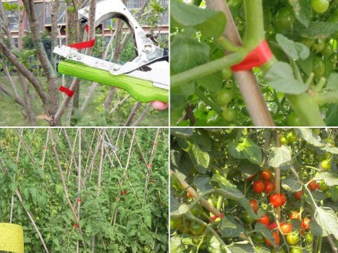 Zszywacz do roślin tapener ogrodniczy wiązarka do winorośli pomidorów Zszywacz do roślin tapener ogrodniczy wiązarka do winorośli pomidorów