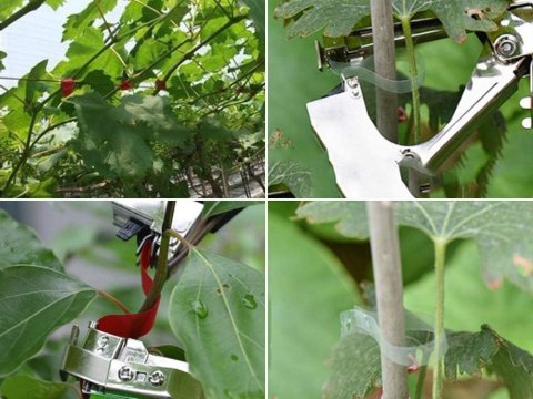 Zszywacz do roślin tapener ogrodniczy wiązarka do winorośli pomidorów Zszywacz do roślin tapener ogrodniczy wiązarka do winorośli pomidorów