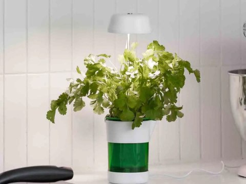 Lampa panel do uprawy wzrostu roślin 6 led 4 uv doniczka samonawadniająca Lampa panel do uprawy wzrostu roślin 6 led 4 uv doniczka samonawadniająca