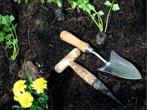 Pikownik do sadzenia roślin cebulek szpikulec ogrodowy drewniany miarka Pikownik do sadzenia roślin cebulek szpikulec ogrodowy drewniany miarka