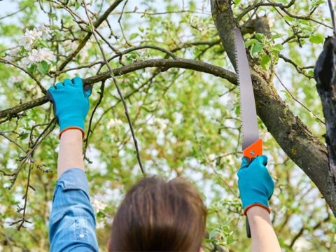 Piła ogrodowa do cięcia gałęzi ręczna do drewna etui pokrowiec na pasek Piła ogrodowa do cięcia gałęzi ręczna do drewna etui pokrowiec na pasek
