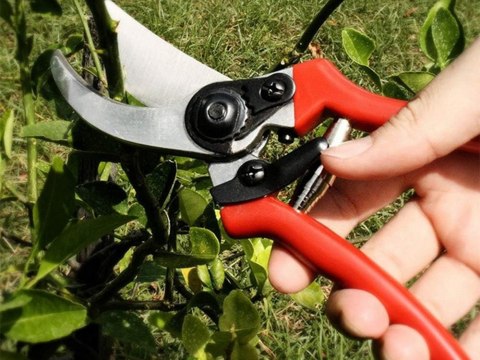 Sekator ogrodowy ręczny do gałęzi krzewów nożyce do przycinania kuty stal Sekator ogrodowy ręczny do gałęzi krzewów nożyce do przycinania kuty stal