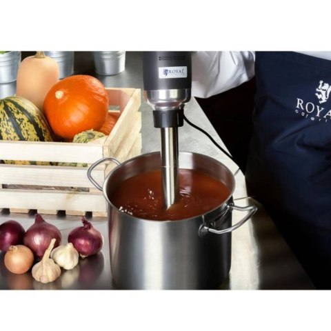 MOCNY MIKSER BLENDER ROBOT RĘCZNY DŁ. RAMIENIA 500MM 500W 230V ROYAL CATERING MOCNY MIKSER BLENDER ROBOT RĘCZNY DŁ. RAMIENIA 500MM 500W 230V ROYAL CATERING