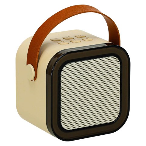 Zestaw do karaoke głośnik Bluetooth mikrofon USB LED beżowy