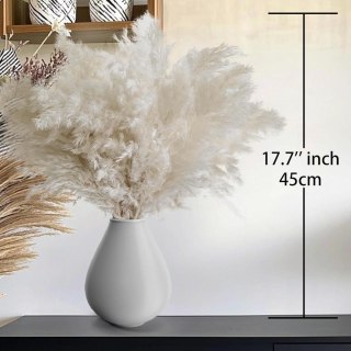 Słomki pampasowe białe 20 sztuk długości 45 cm dekoracyjne